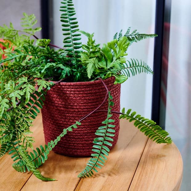 PACIFIC Plant pot 2 colors various colors, cream, burgundy H 14 cm; Ø 14 cm - best price from Maltashopper.com CS672049