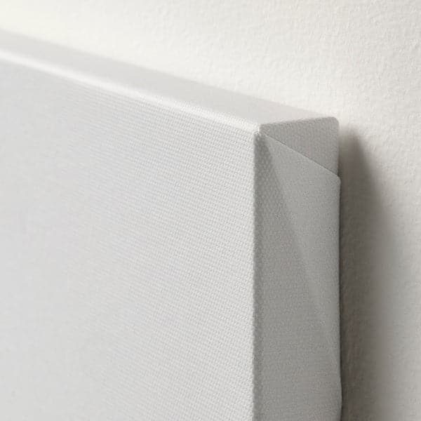 PJÄTTERYD - Canvas, felce, , 40x50 cm - best price from Maltashopper.com 60554926