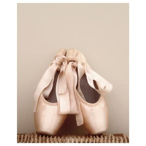 PJÄTTERYD Canvas, dance shoes, 40x50 cm , 40x50 cm - best price from Maltashopper.com 60519457