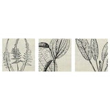 PJÄTTERYD picture, flower print, 56x56 cm, 3 pack