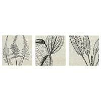 PJÄTTERYD picture, flower print, 56x56 cm, 3 pack