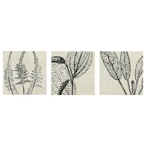 PJÄTTERYD - Canvas, floral print, 56x56 cm , 56x56 cm - best price from Maltashopper.com 20519478