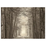 PJÄTTERYD picture, forest road, 70x50 cm