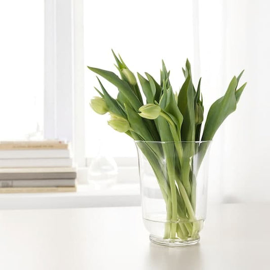 POMP - Vase/lantern, clear glass, 18 cm - best price from Maltashopper.com 80326537