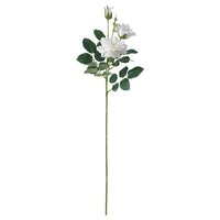 SMYCKA artificial flower, in/outdoor/Rose white, 65 cm