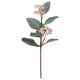 SMYCKA artificial flower, eucalyptus/pink, 30 cm