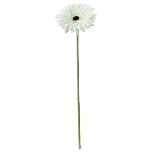 SMYCKA - Artificial flower, Gerbera/white, 50 cm
