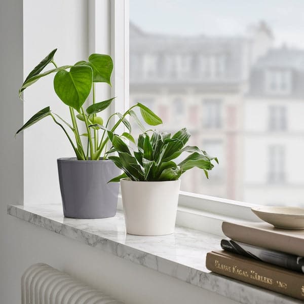 Ikea SOJABÖNA - Plant pot, white, 9 cm