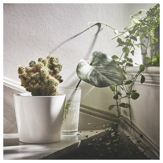 Ikea SOJABÖNA - Plant pot, white, 15 cm