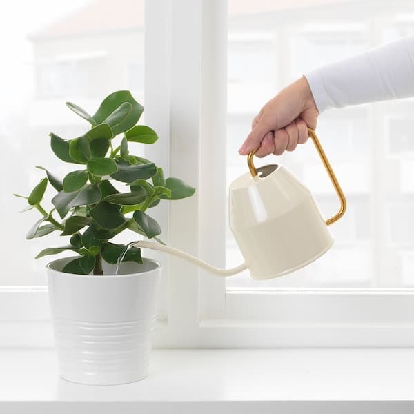 Ikea VATTENKRASSE - Watering can, ivory/gold-colour, 0.9 l