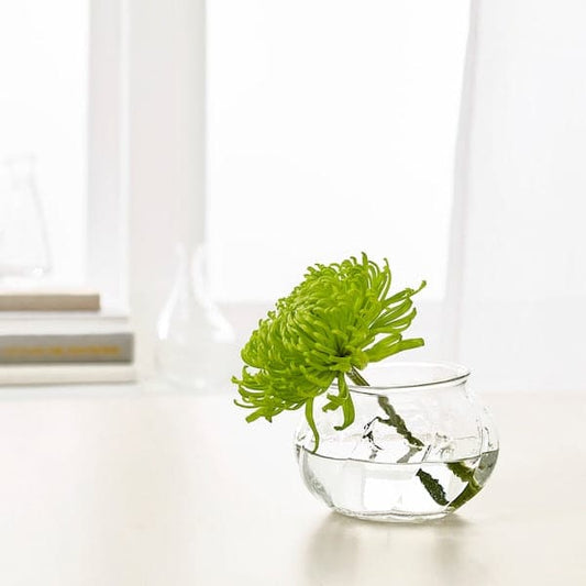 Ikea VILJESTARK - Vase, clear glass, 8 cm