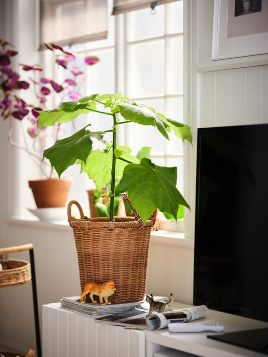 A Family Room Everyone Actually Wants To Be In