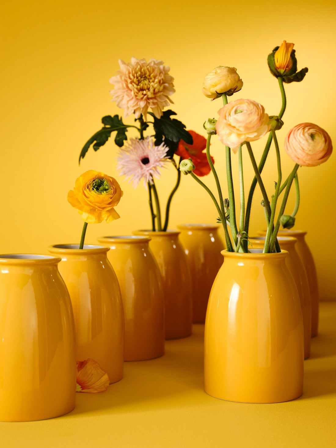 Bring Playful Colour and Pattern Into Your Home