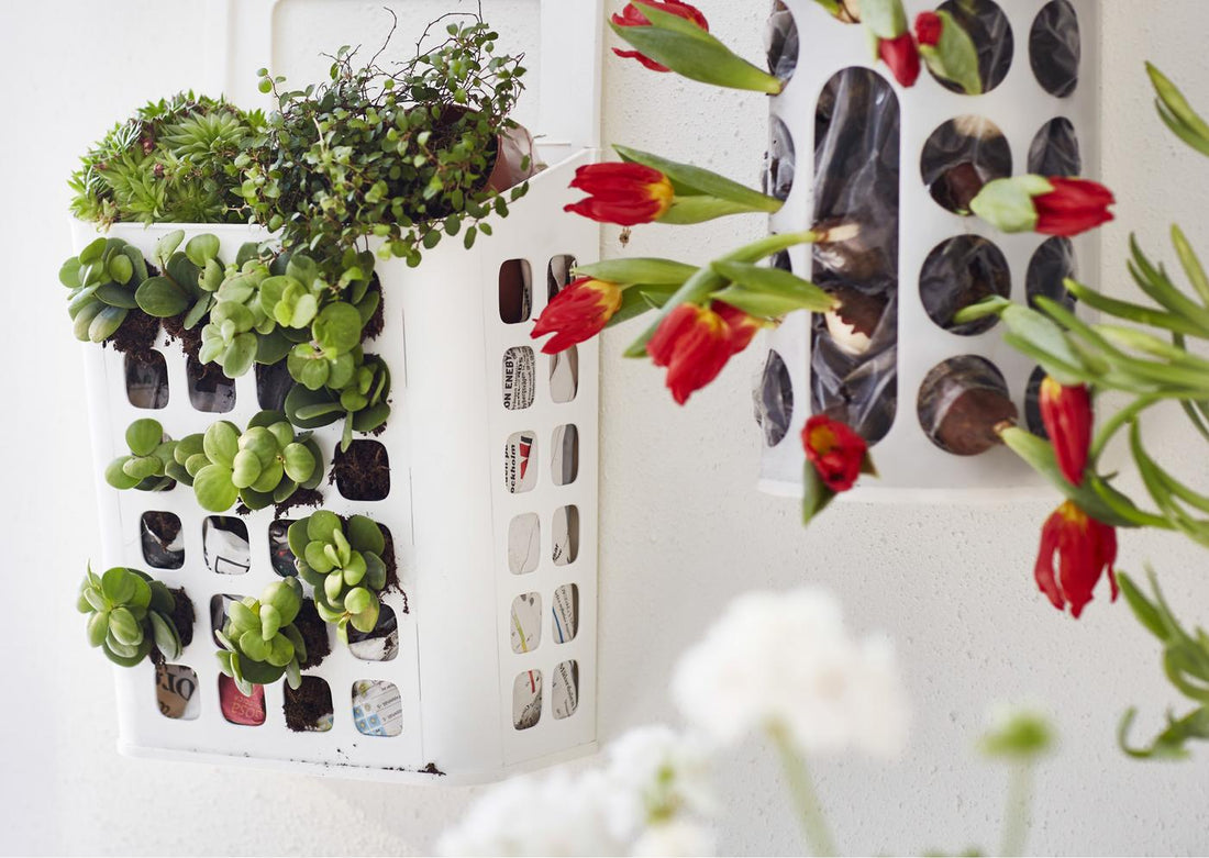 Creative Garden Ideas For Small Maltese Spaces