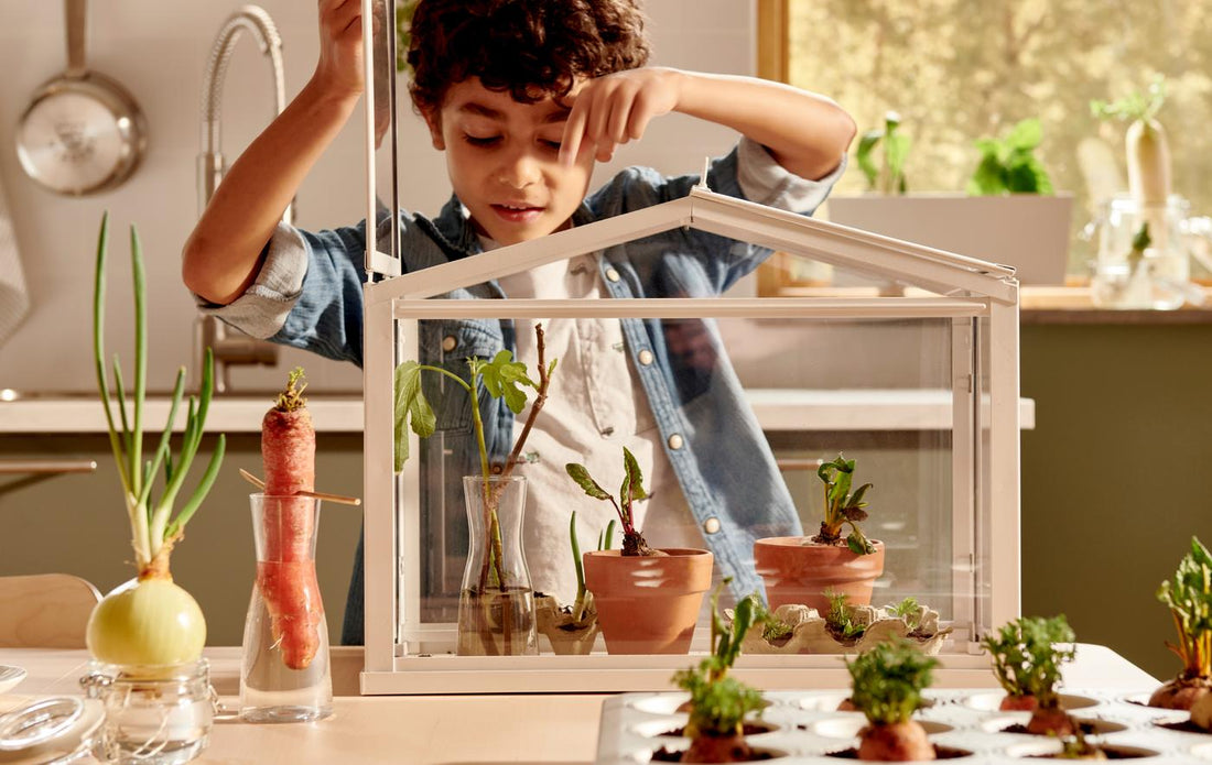 Grow a Kitchen Garden With Your Children
