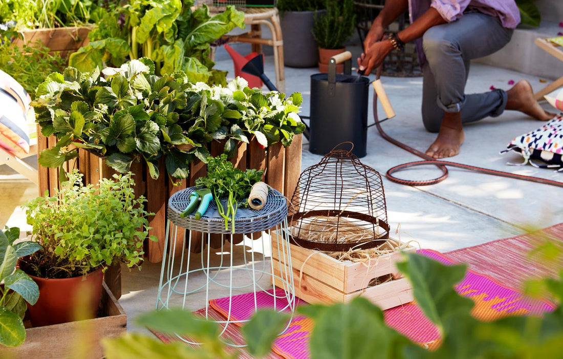 The Calming Power Of Plants At Home