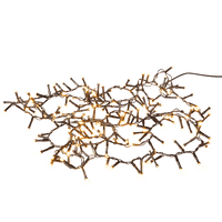 CASA Christmas Lights