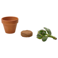 IKEA Growing accessories