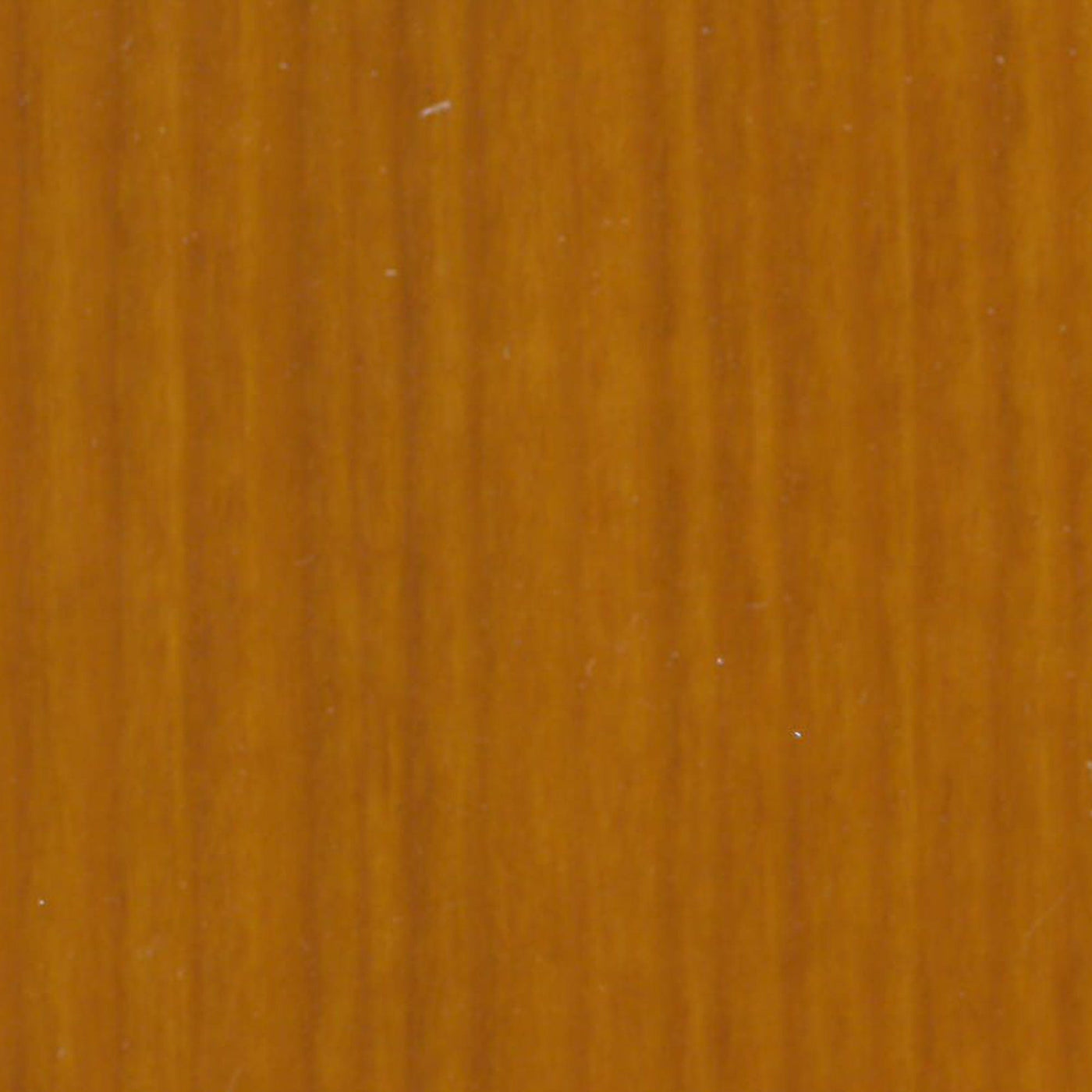 Bricocenter WATER-BASED WOOD PROTECTIVE PAINT MEDIUM SATIN WALNUT HIGH PROTECTION SYNTILOR 250ML