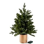 TINNY Green Christmas tree, H 60 cm - Ø 50 cm