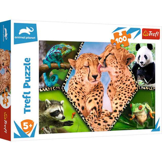 100 Piece Jigsaw Puzzle Beautiful Nature - best price from Maltashopper.com TRF16424