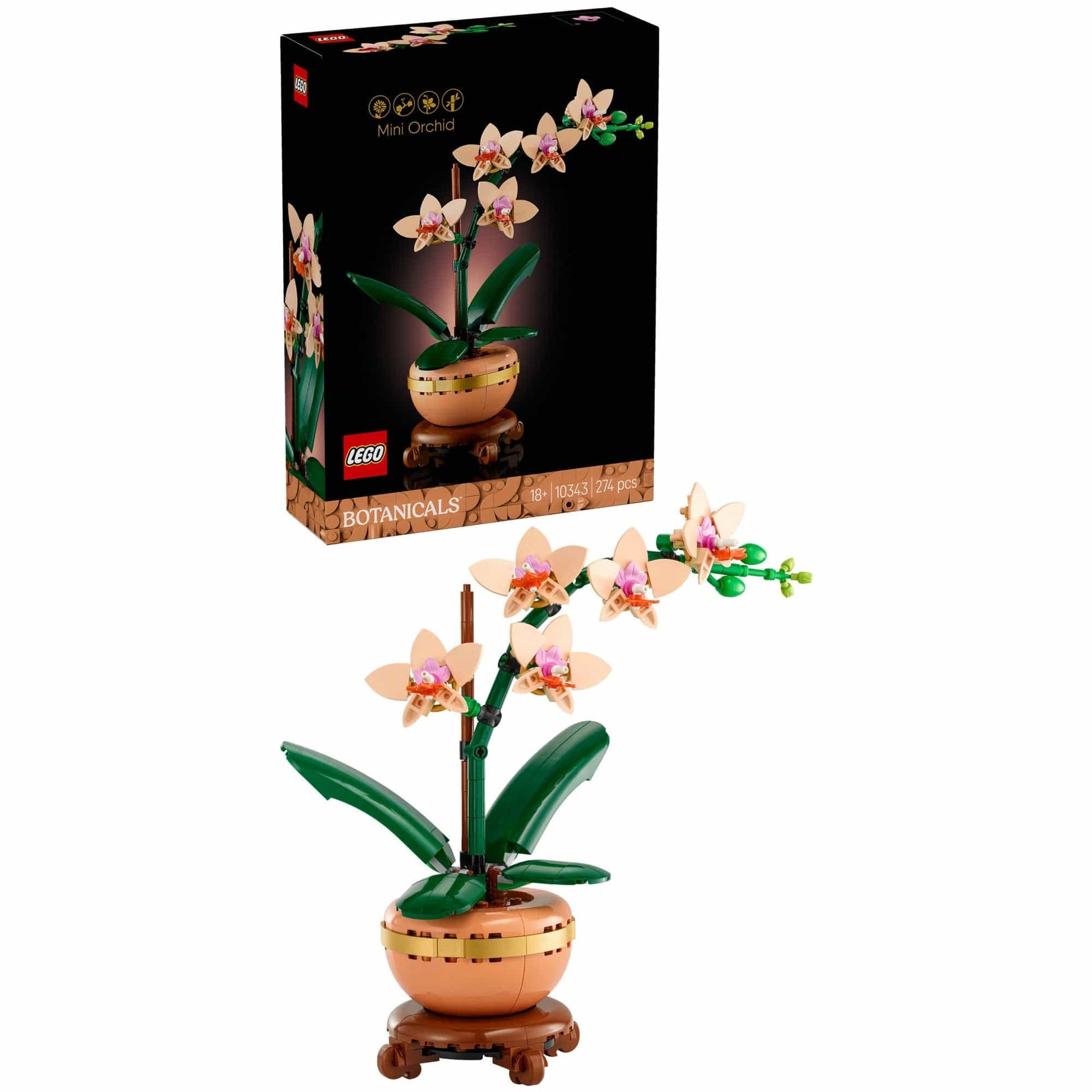 Toys Botanicals - Mini-Orchid