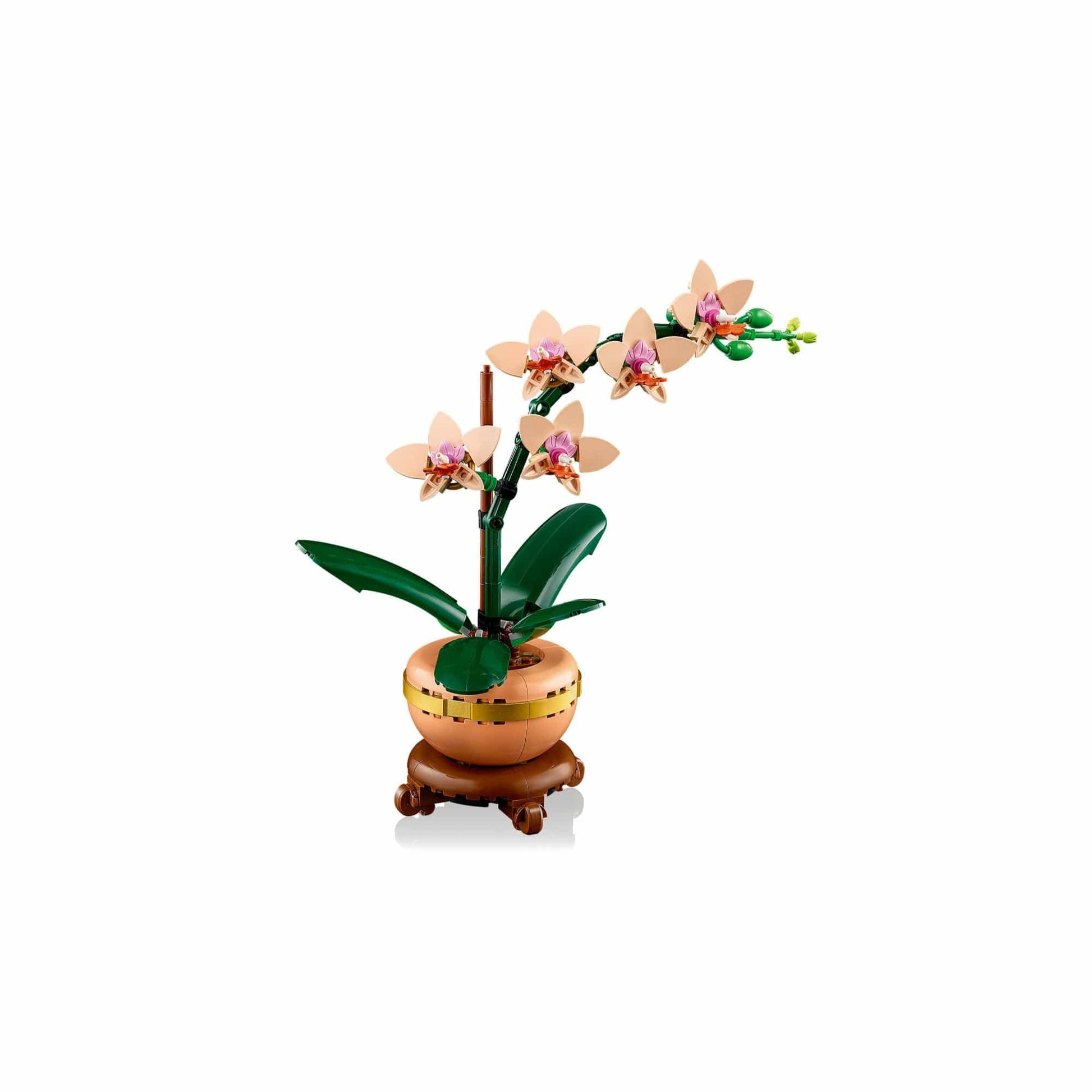 Toys Botanicals - Mini-Orchid