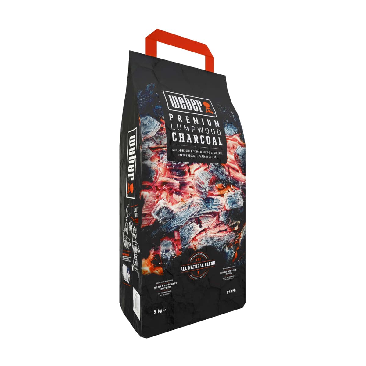 Bricocenter CARBONE WEBER 5 KG