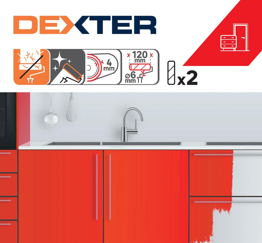 Bricocenter 2 REFILLS X ENAMEL 12CM DEXTER