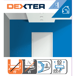 MINI SMOOTH WALL ROLLER 6CM DEXTER