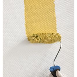 2 RICARICHE MURO POCO RUVIDO 12CM DEXTER