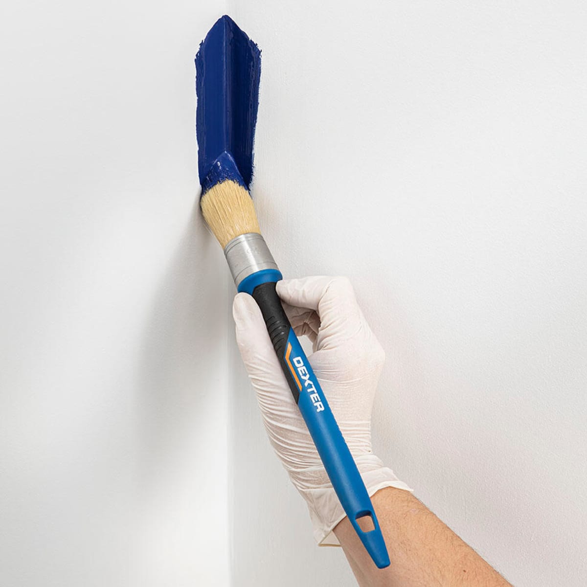 DEXTER UNIVERSAL ROUND BRUSH 25 MM
