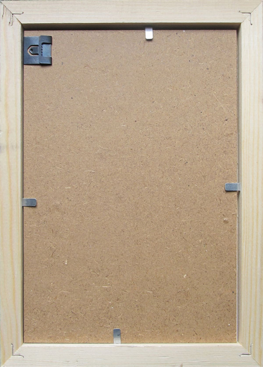 Bricocenter GEM FRAME 40X50 CM WALNUT WIRE GOLD
