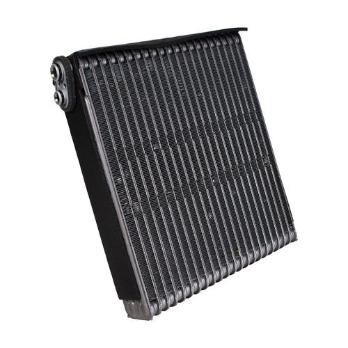 PLASTIC EVAPORATOR YOUNG