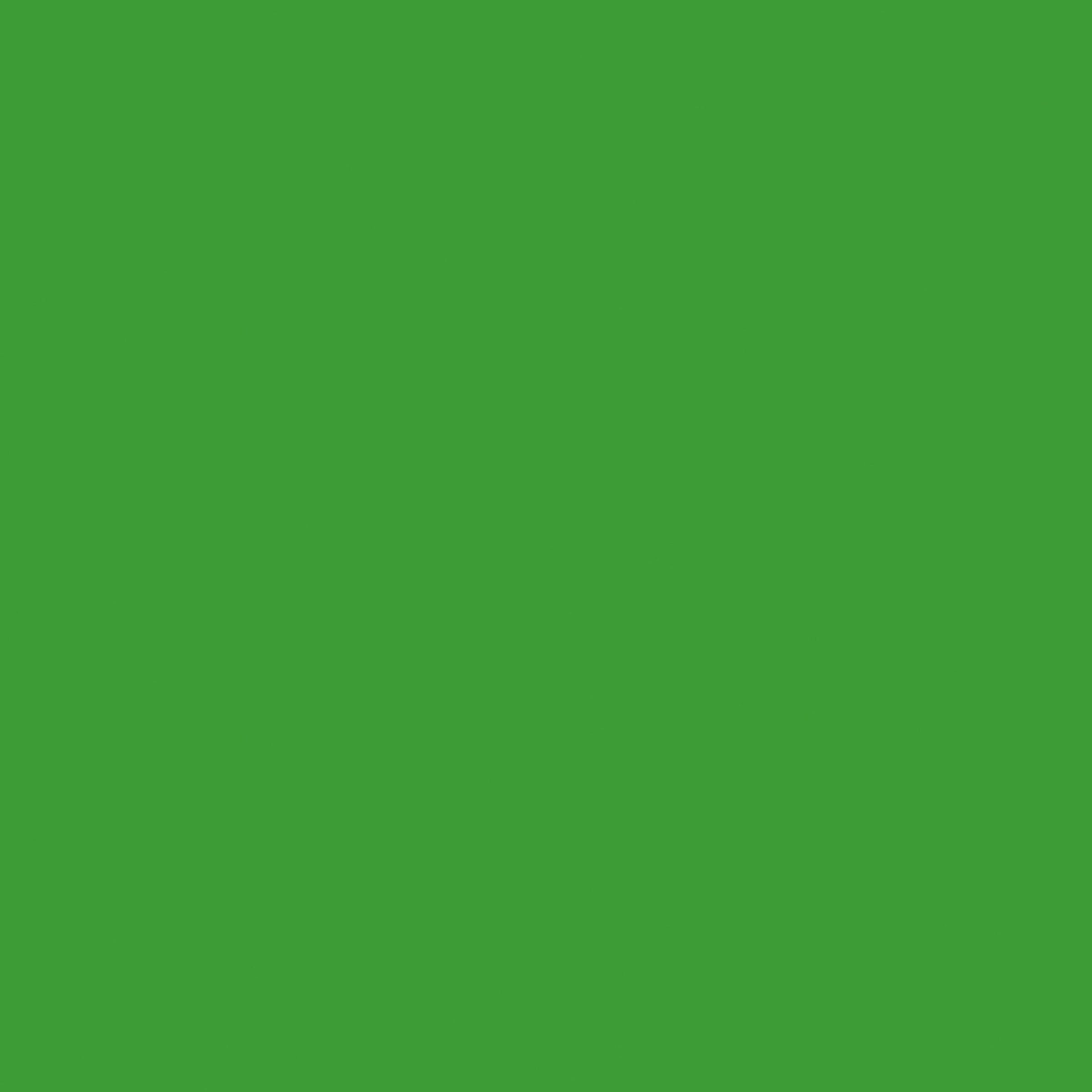 UNIVERSAL LAWN GREEN COLOUR 40 ML LUXENS