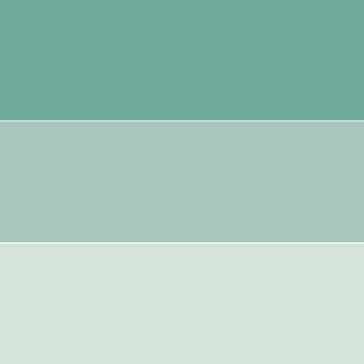 Bricocenter FOREST GREEN UNIVERSAL COLOURANT 250 ML LUXENS