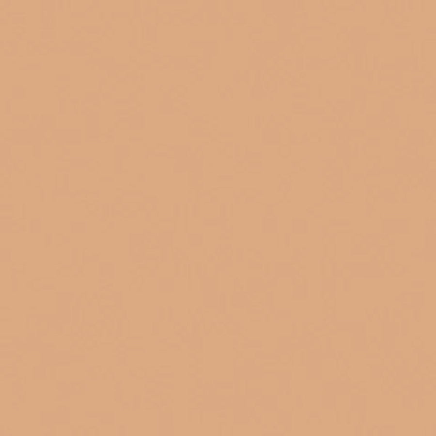 Bricocenter LIGHT BROWN TWO-COMPONENT WOOD FILLER PRESTO 250GR