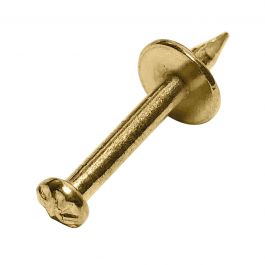 NAIL 2.5X23MM BRASS-PLATED STEEL WITH WASHER