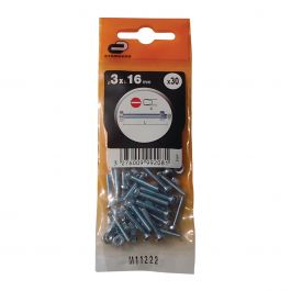 3 X 16 MM CYLINDRICAL HEAD BOLT PH. D