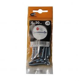 BOLT 4 X 30 MM CYLINDRICAL HEAD PH. D