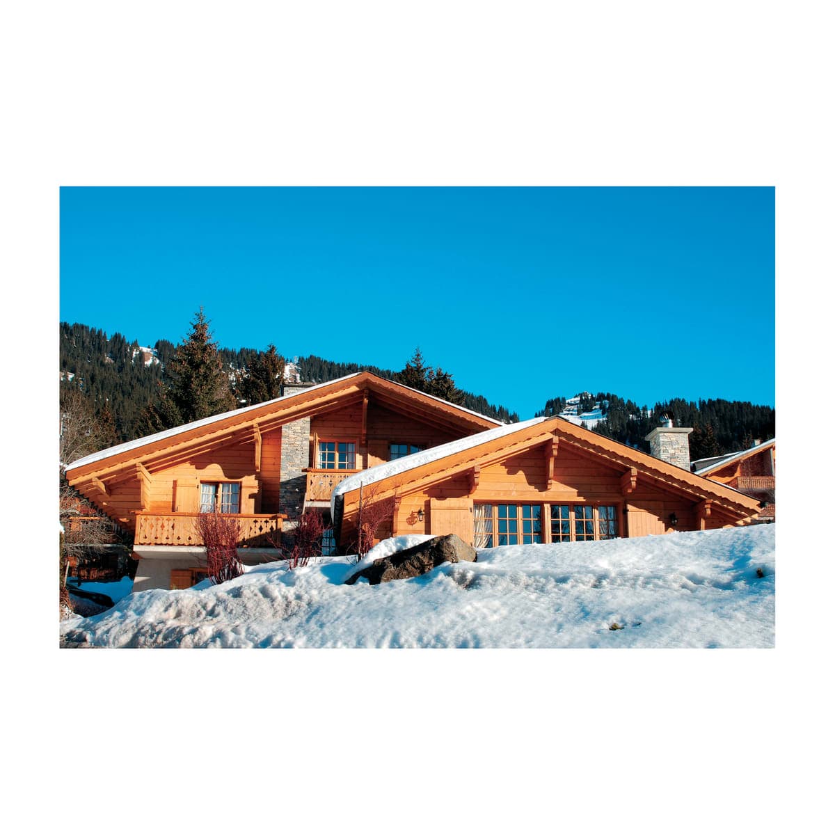 Bricocenter IMPREGNANTE PROTETTIVO PER LEGNO BASE SOLVENTE ALTA PROTEZIONE DOUGLAS SYNTILOR 750ML