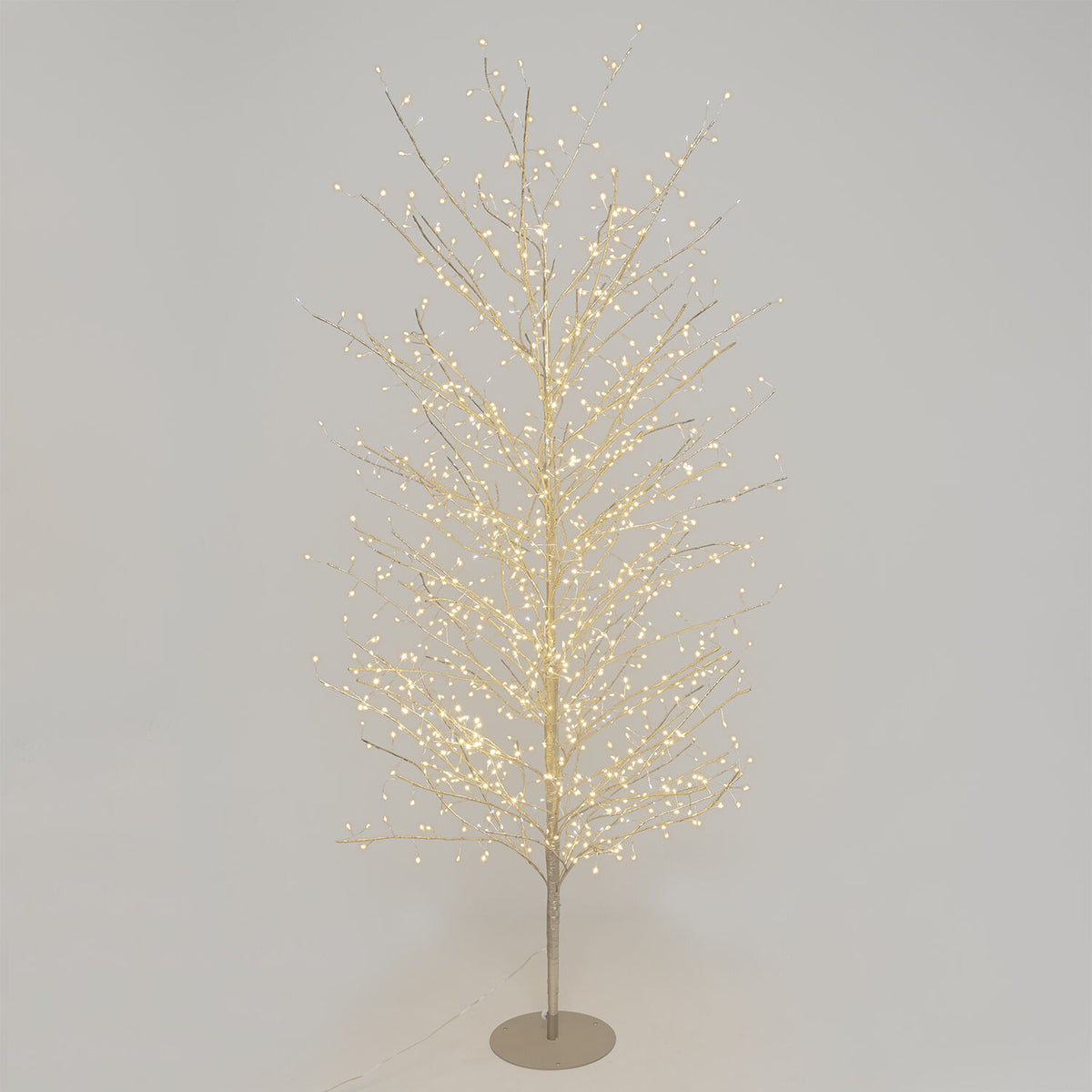 Albero luminoso tiglio champagne luce bianca 1120 micro led h220 cm