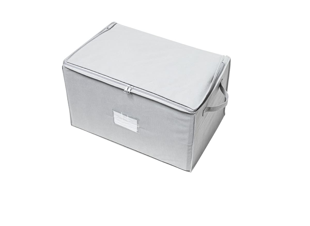 Bricocenter TNT CASE WITH VACUUM BAG TG L 33X36X56 CM SPACEO