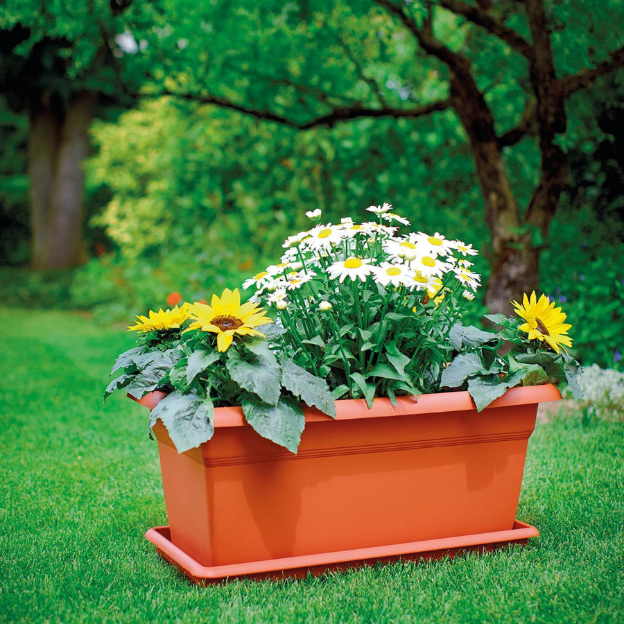 Bricocenter MEDITERRANEAN SUB-FLOWER CM. 60 T.COTTA