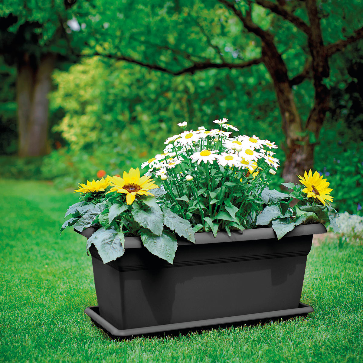 MEDITERRANEAN PLANTER CM 60 ANTHRACITE