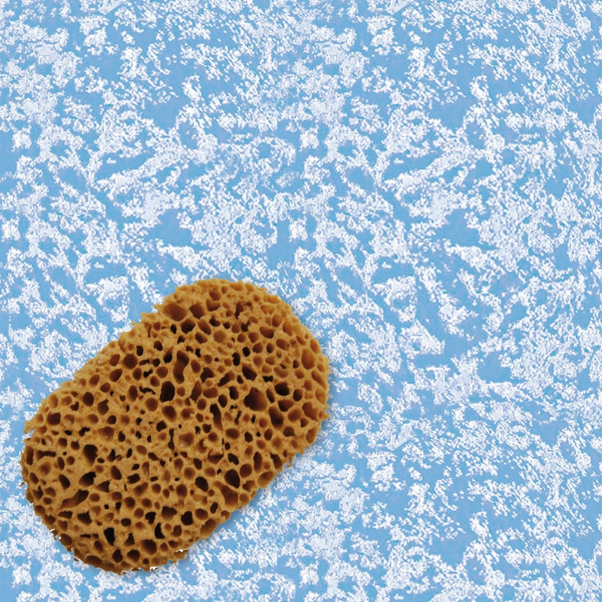 Bricocenter SYNTHETIC SEA SPONGE - PINTY