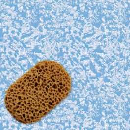 SYNTHETIC SEA SPONGE - PINTY