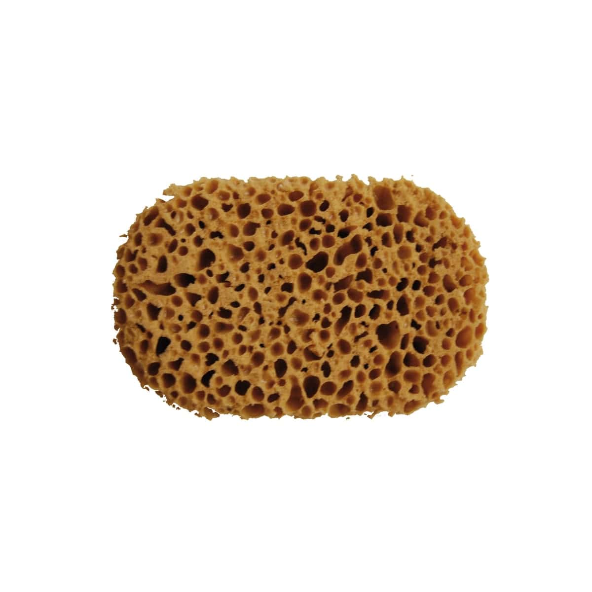Bricocenter SYNTHETIC SEA SPONGE - PINTY