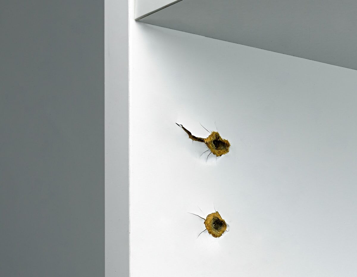 DAMAGED HINGE HOLE REPAIR PLATE