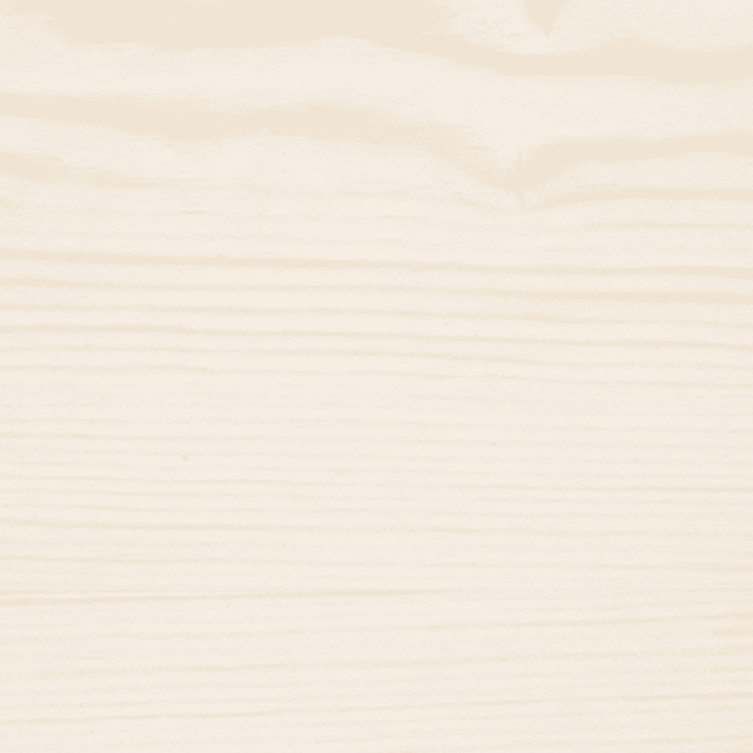 Axton wood filler paste, white, 250g